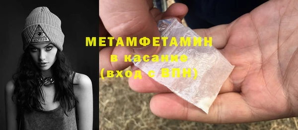 сатива Арсеньев