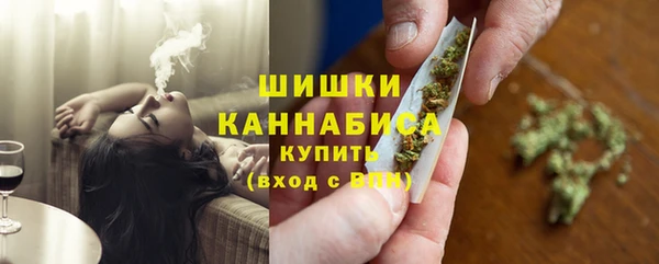 сатива Арсеньев