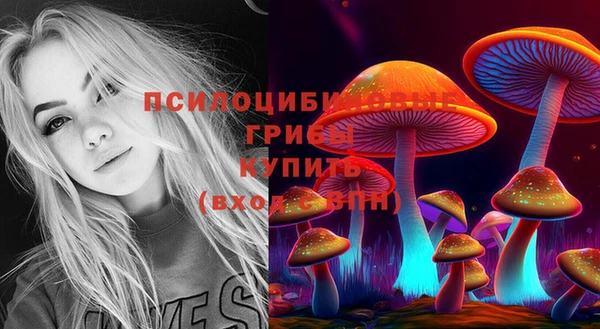 сатива Арсеньев
