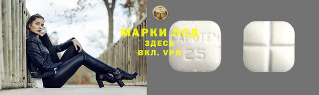 PSILOCYBIN Армянск
