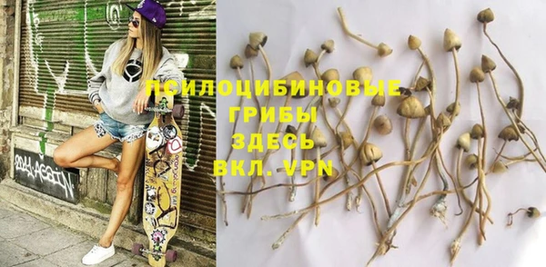 PSILOCYBIN Армянск