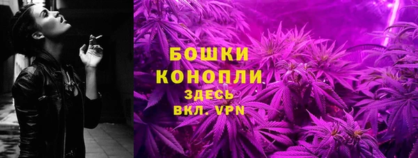 сатива Арсеньев