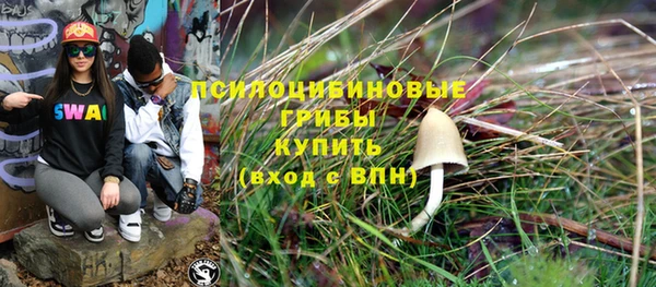 сатива Арсеньев