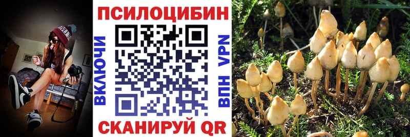 Галлюциногенные грибы ЛСД  где продают наркотики  Сухиничи 