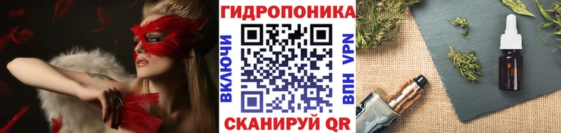 дарк нет телеграм  Сухиничи  Бошки марихуана планчик 